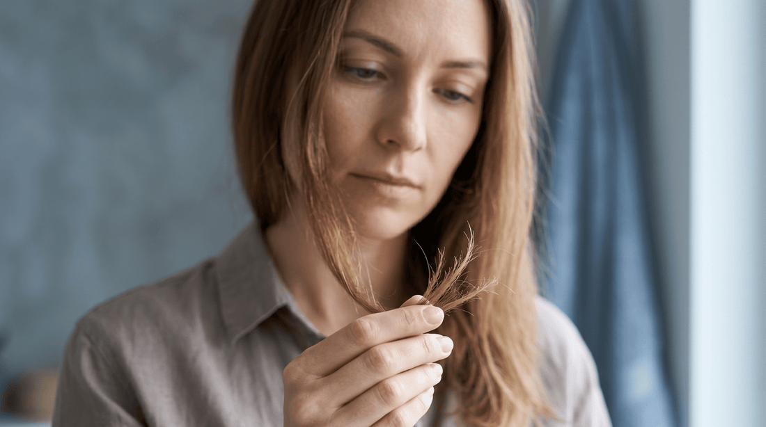 Cheveux cassants : que faire pour stopper la casse et retrouver une vraie longueur ? - SALEM
