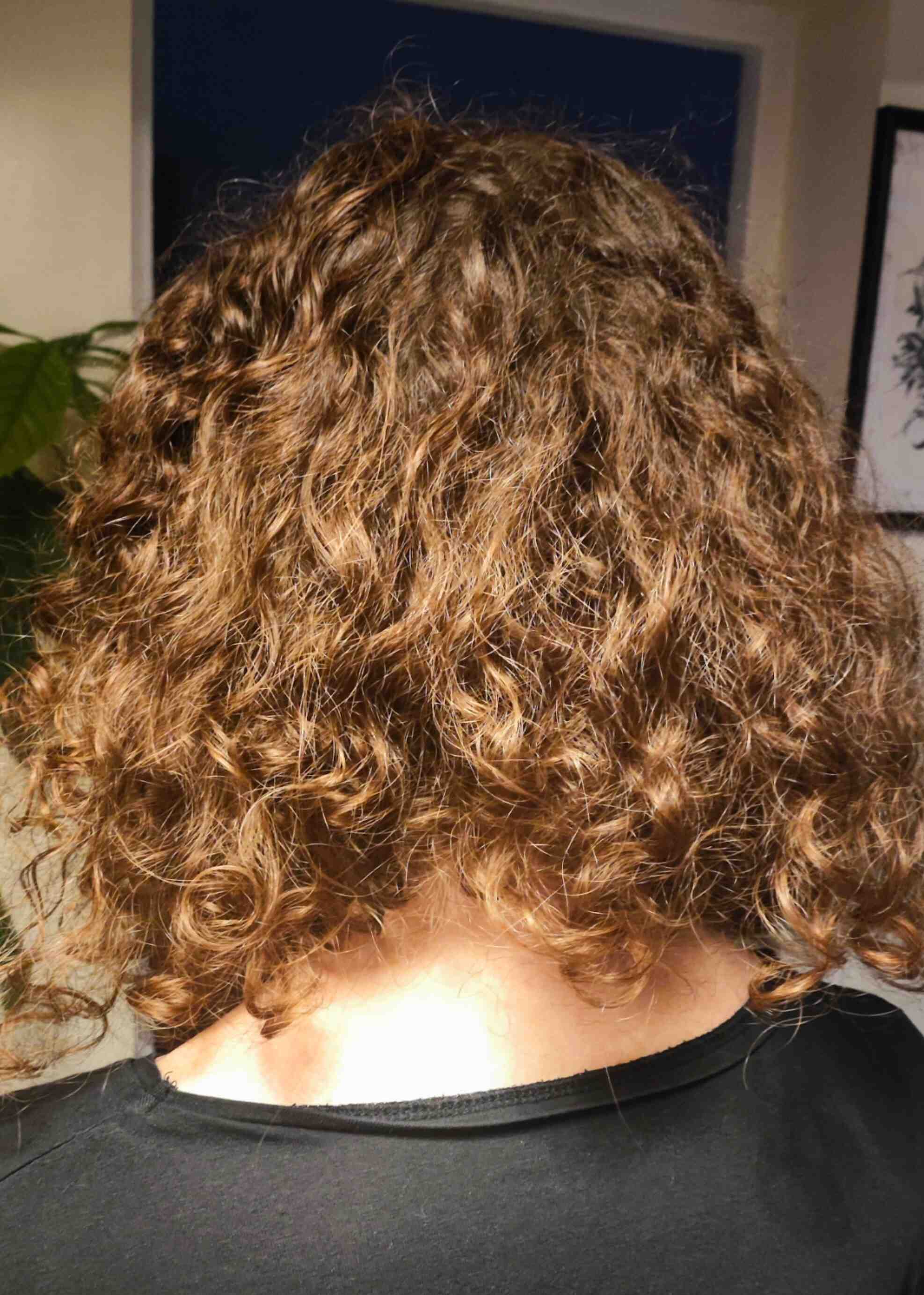 Photo d'une chevelure bouclée avec manque de définition avant d'utiliser les soins naturels SALEM