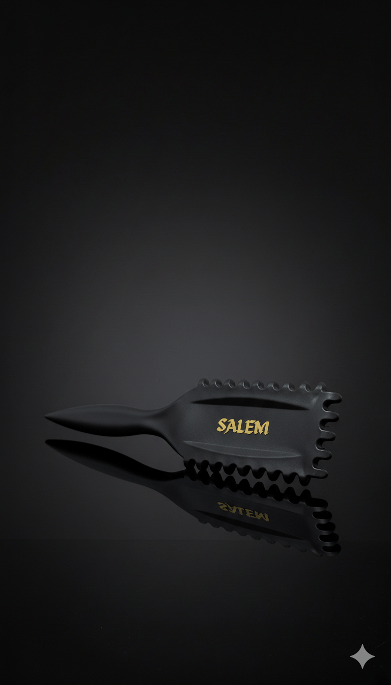 Brosse capillaire démêlante Salem noire mat, design élégant et ergonomique pour tous types de cheveux